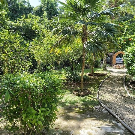 Mini Pini Bird Watching And Cenote Loft Cozumel Exterior foto