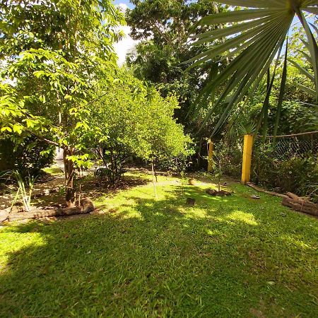 Mini Pini Bird Watching And Cenote Loft Cozumel Exterior foto