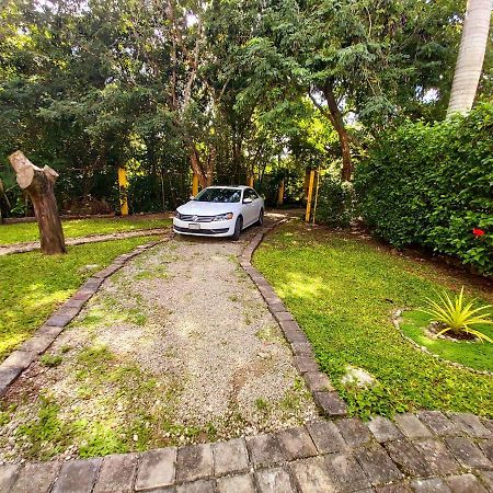 Mini Pini Bird Watching And Cenote Loft Cozumel Exterior foto