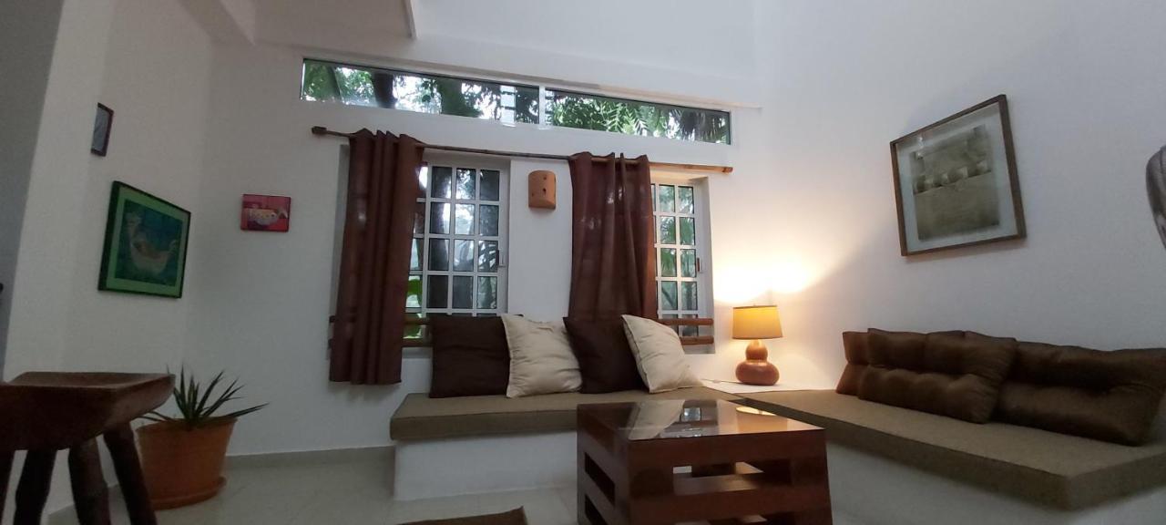 Mini Pini Bird Watching And Cenote Loft Cozumel Exterior foto