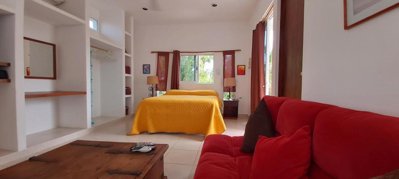 Mini Pini Bird Watching And Cenote Loft Cozumel Exterior foto