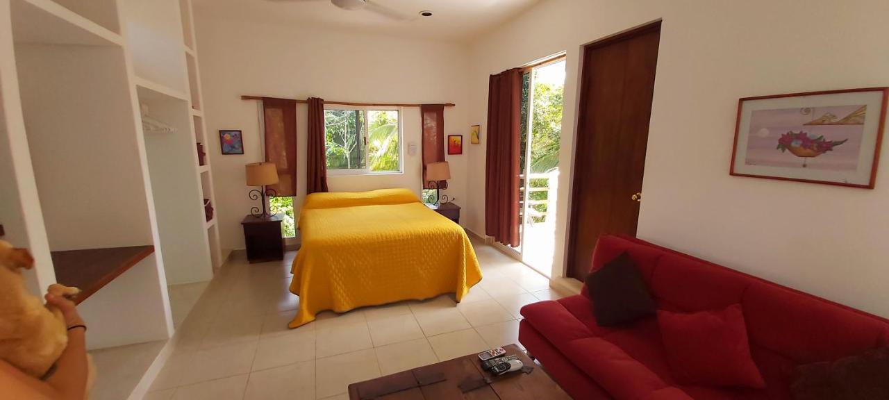 Mini Pini Bird Watching And Cenote Loft Cozumel Exterior foto