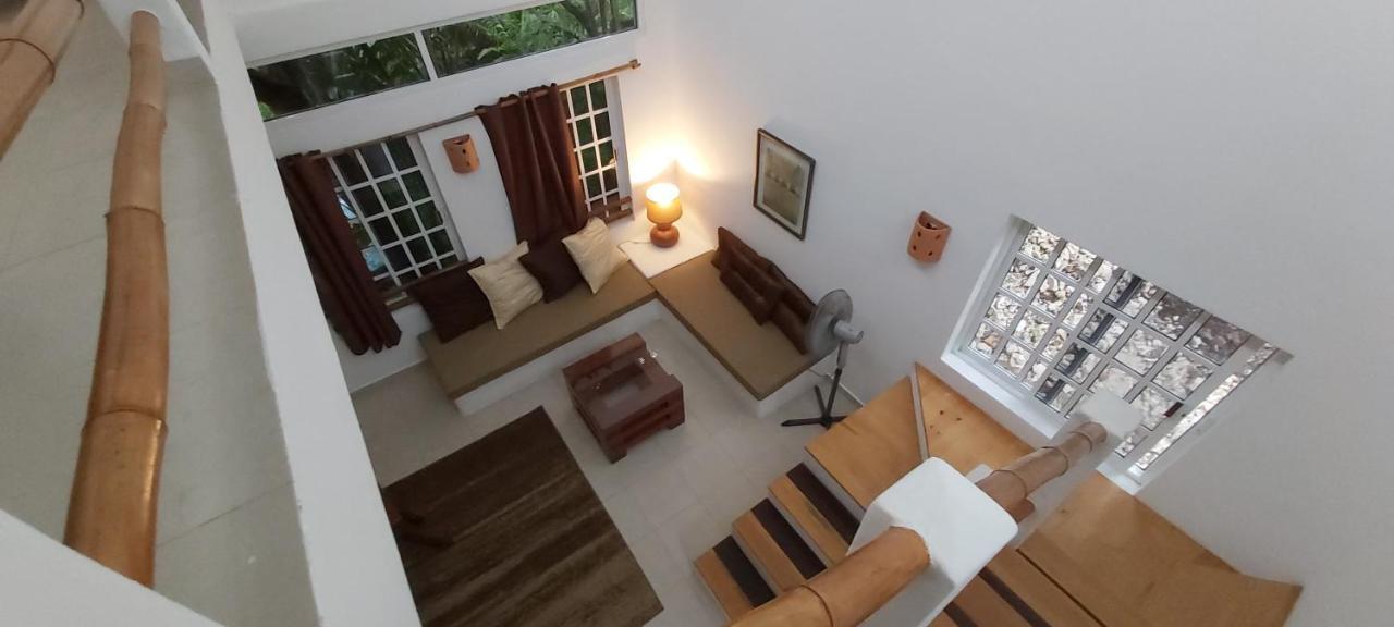 Mini Pini Bird Watching And Cenote Loft Cozumel Exterior foto