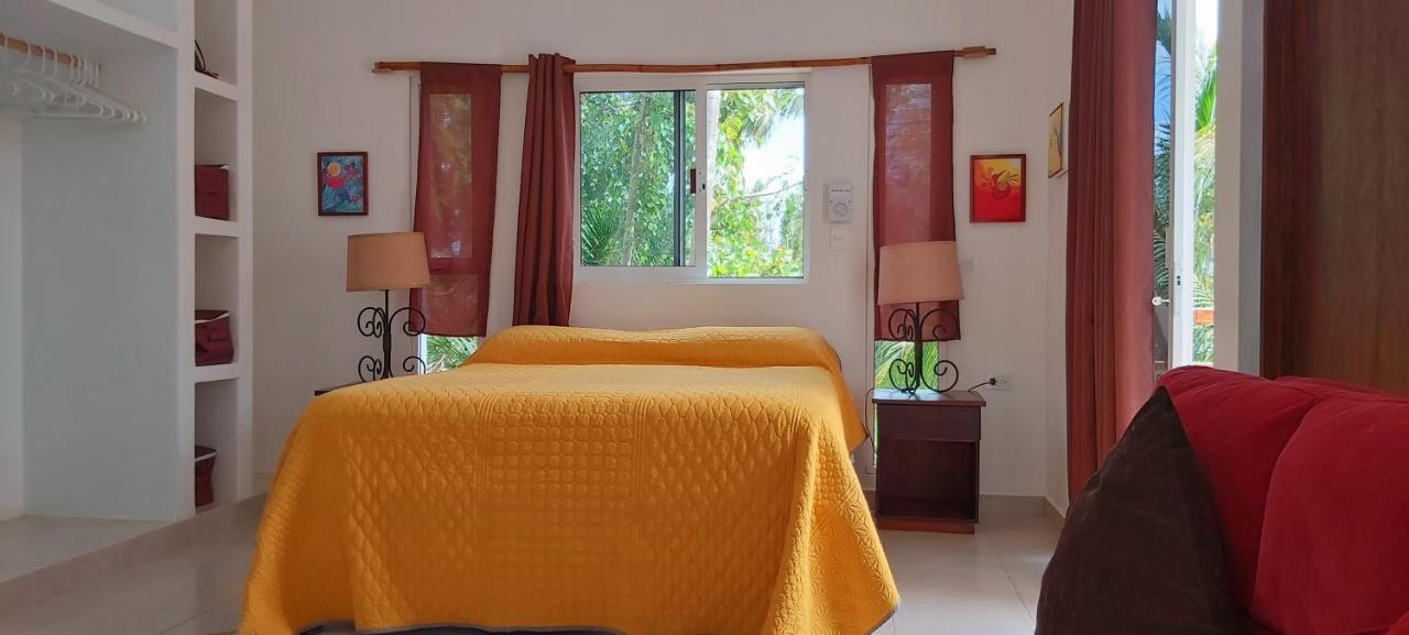 Mini Pini Bird Watching And Cenote Loft Cozumel Exterior foto