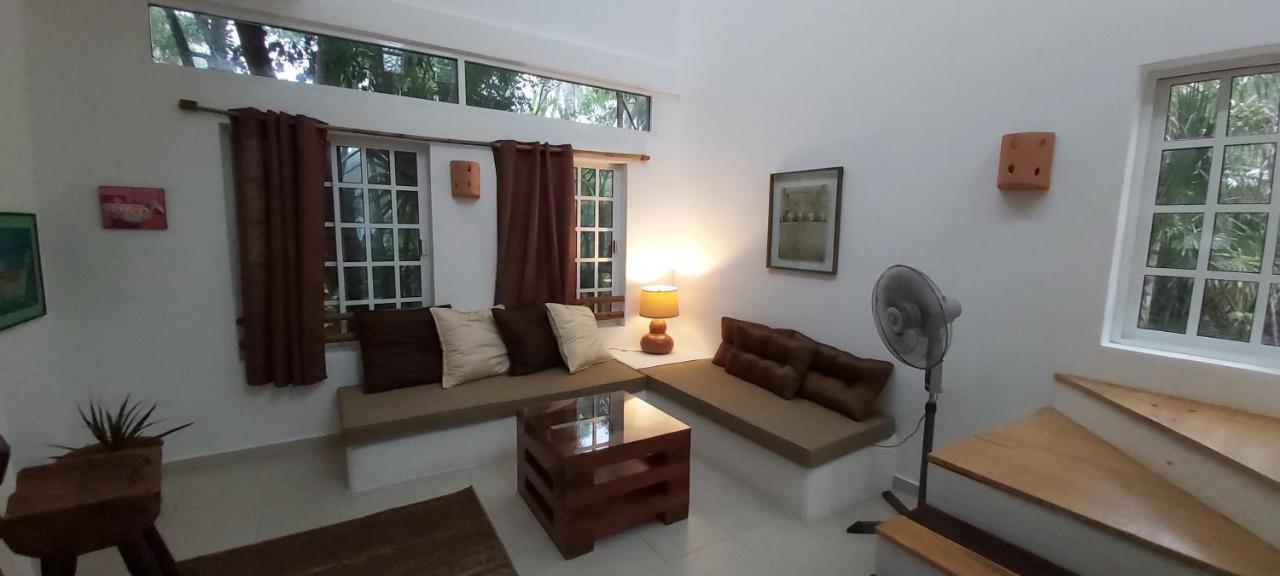 Mini Pini Bird Watching And Cenote Loft Cozumel Exterior foto