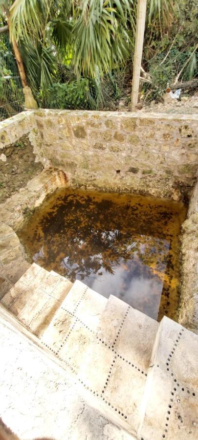 Mini Pini Bird Watching And Cenote Loft Cozumel Exterior foto