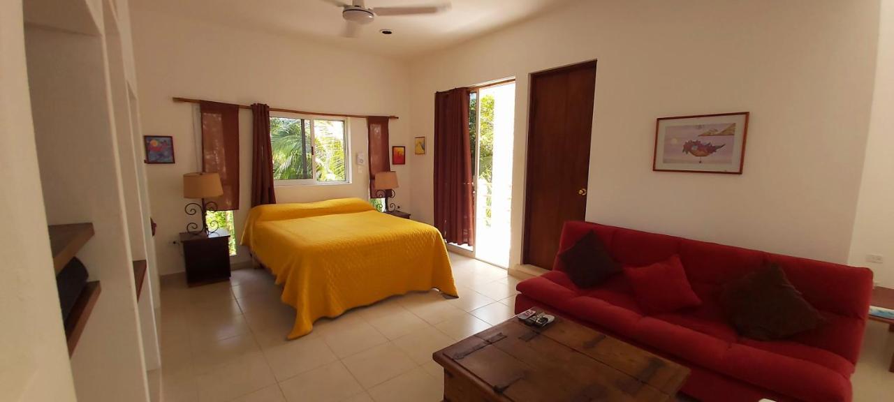 Mini Pini Bird Watching And Cenote Loft Cozumel Exterior foto