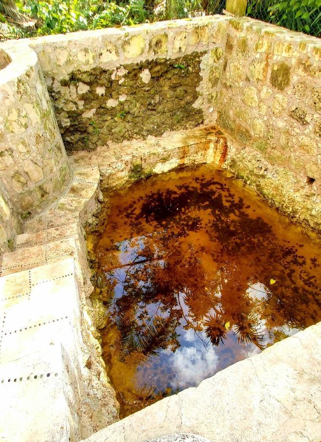 Mini Pini Bird Watching And Cenote Loft Cozumel Exterior foto