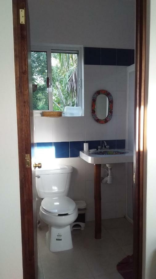 Mini Pini Bird Watching And Cenote Loft Cozumel Exterior foto