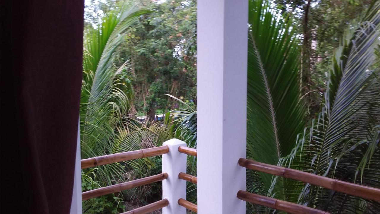 Mini Pini Bird Watching And Cenote Loft Cozumel Exterior foto