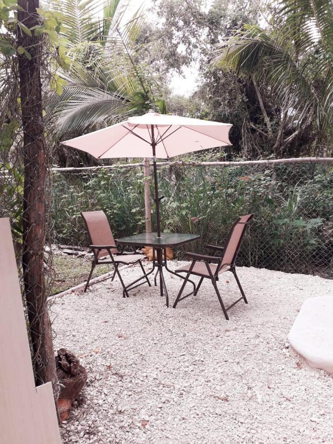 Mini Pini Bird Watching And Cenote Loft Cozumel Exterior foto