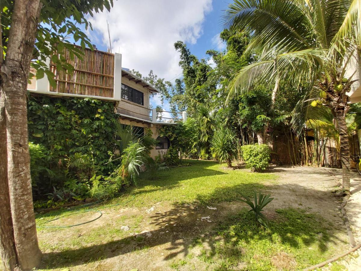 Mini Pini Bird Watching And Cenote Loft Cozumel Exterior foto
