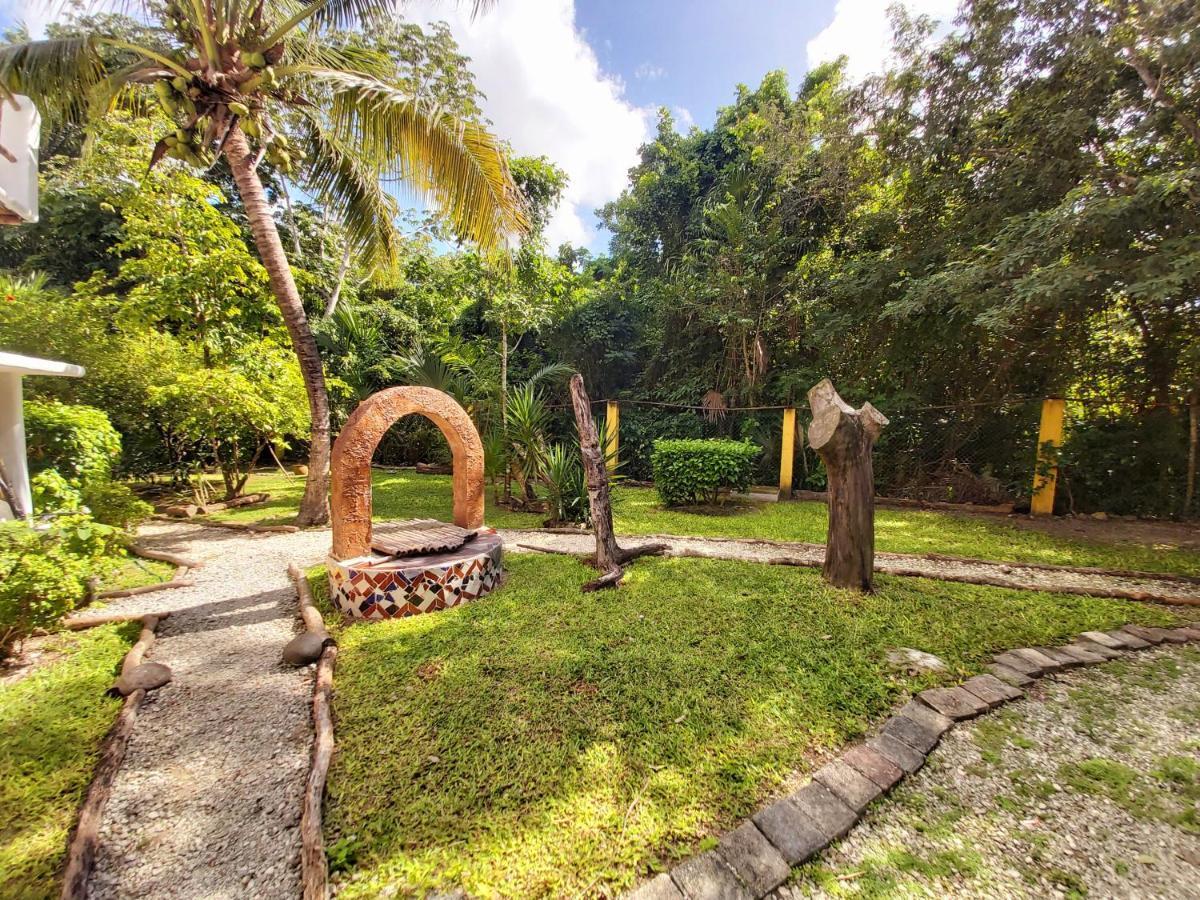 Mini Pini Bird Watching And Cenote Loft Cozumel Exterior foto
