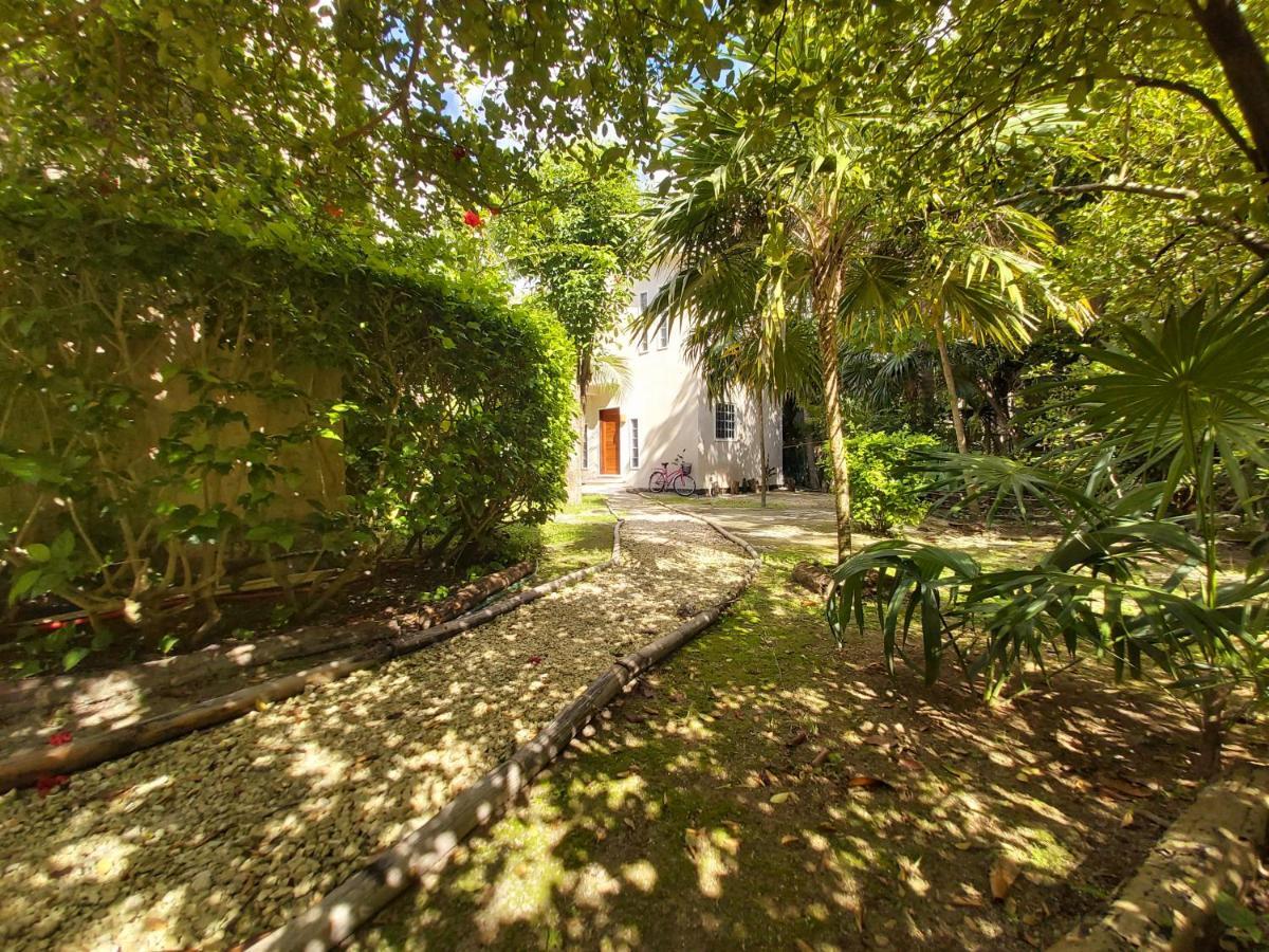 Mini Pini Bird Watching And Cenote Loft Cozumel Exterior foto