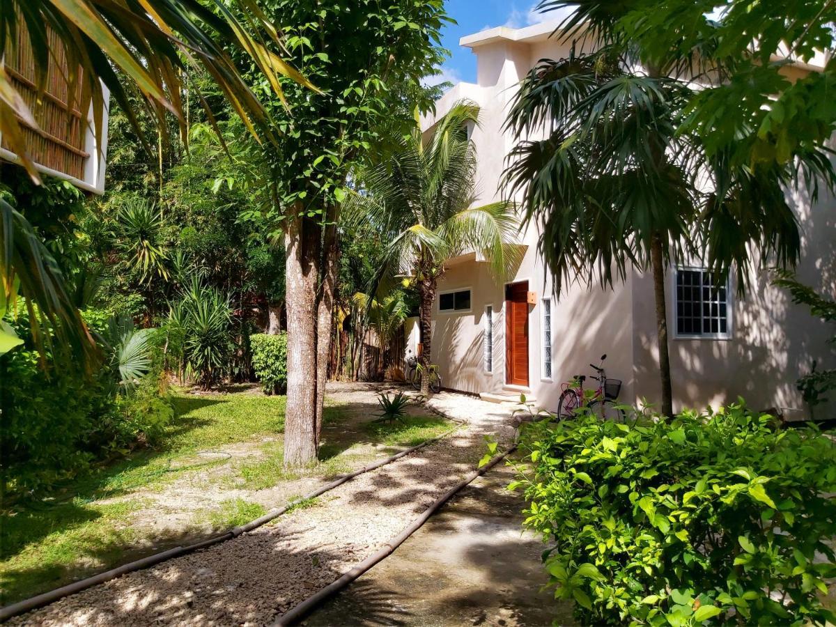 Mini Pini Bird Watching And Cenote Loft Cozumel Exterior foto