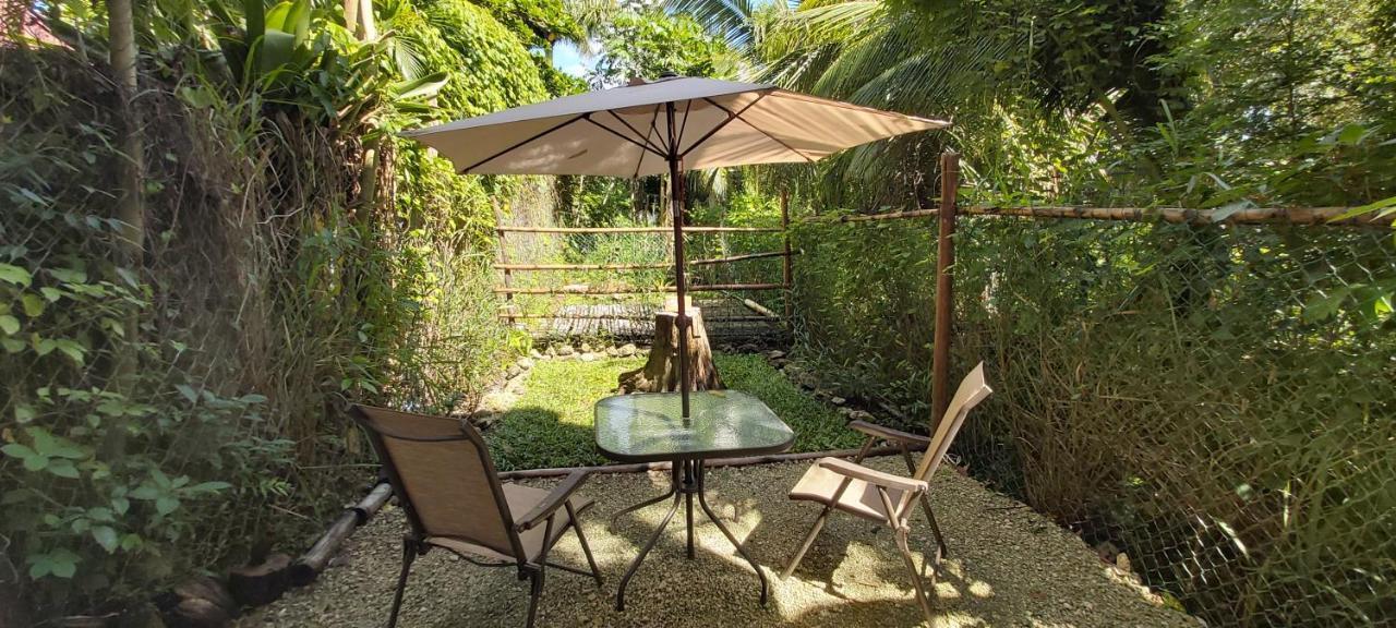 Mini Pini Bird Watching And Cenote Loft Cozumel Exterior foto