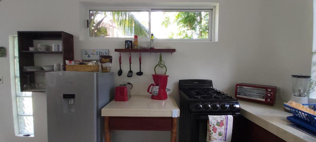 Mini Pini Bird Watching And Cenote Loft Cozumel Exterior foto