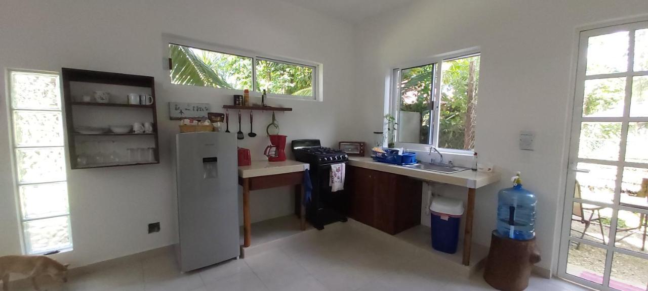 Mini Pini Bird Watching And Cenote Loft Cozumel Exterior foto