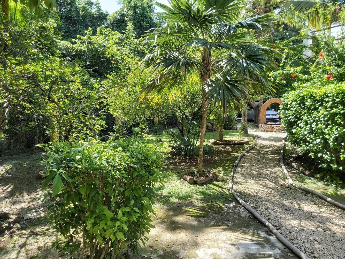Mini Pini Bird Watching And Cenote Loft Cozumel Exterior foto