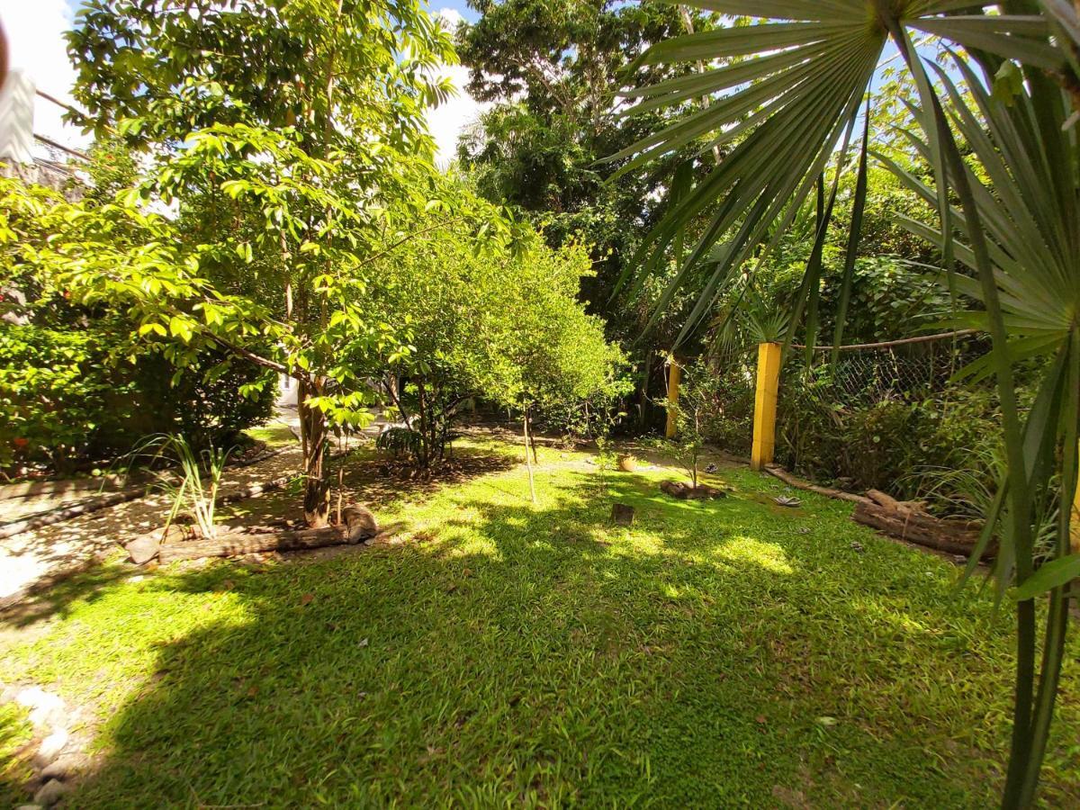 Mini Pini Bird Watching And Cenote Loft Cozumel Exterior foto