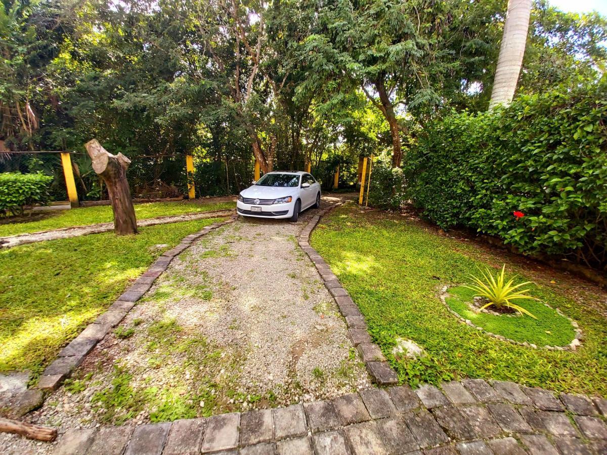 Mini Pini Bird Watching And Cenote Loft Cozumel Exterior foto